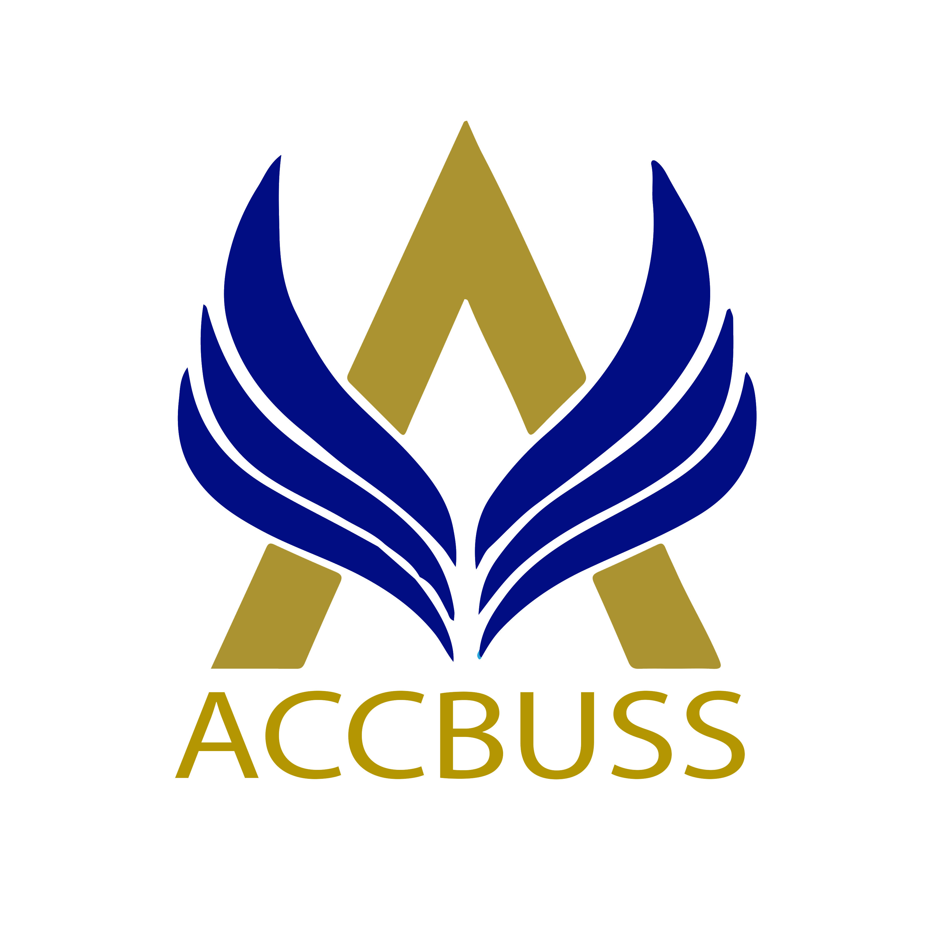 Logo AccBuss